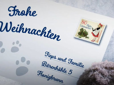 Bärenweihnacht