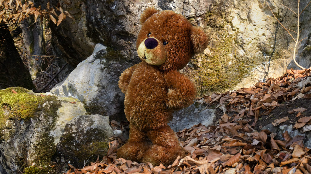 Der kleine Bär Fieps - Ostern